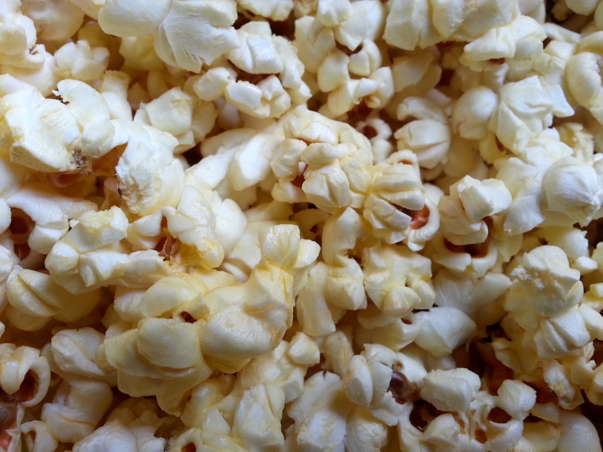 popcorn corn food free photo