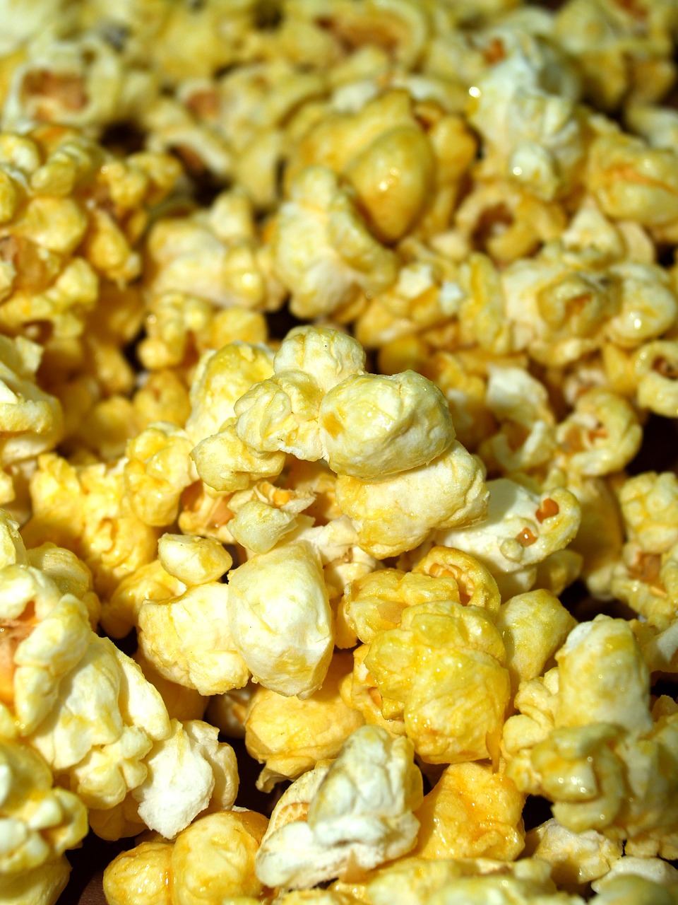 popcorn corn pop free photo