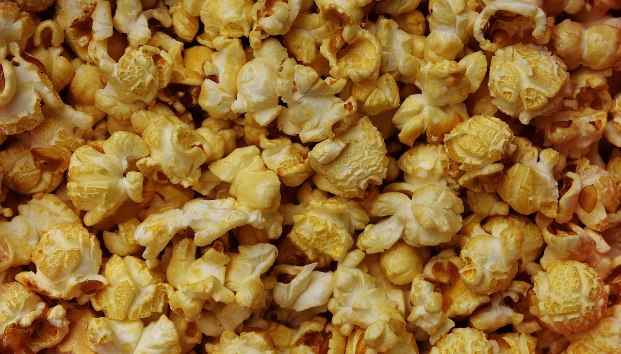 popcorn nibble snacks free photo