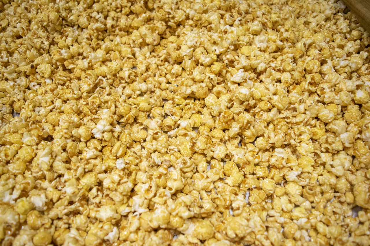 popcorn  gourmet  food free photo