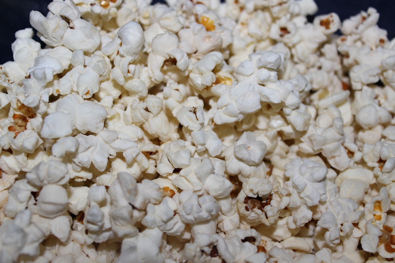 popcorn eat food free photo