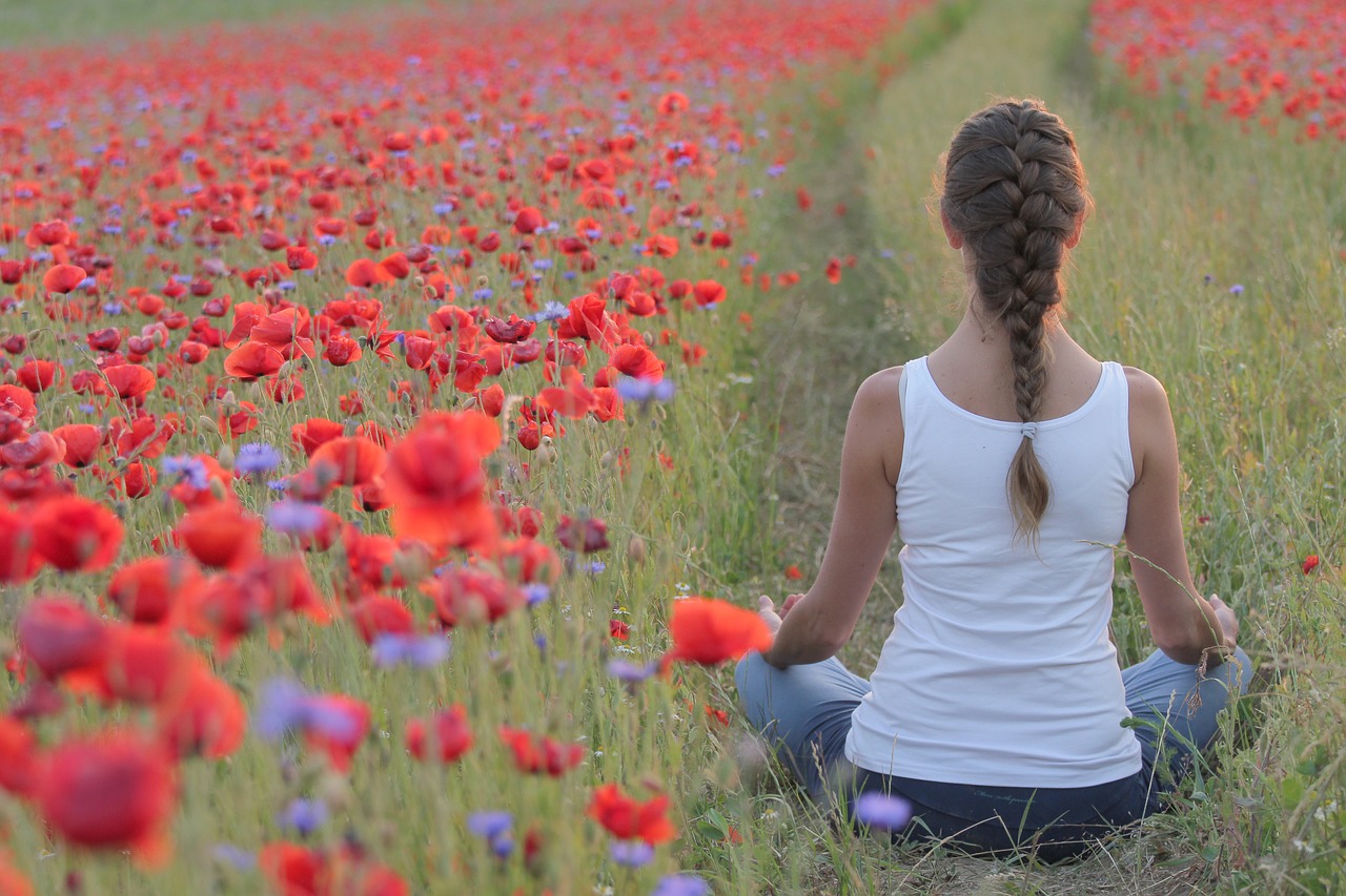 poppies  yoga  field free photo