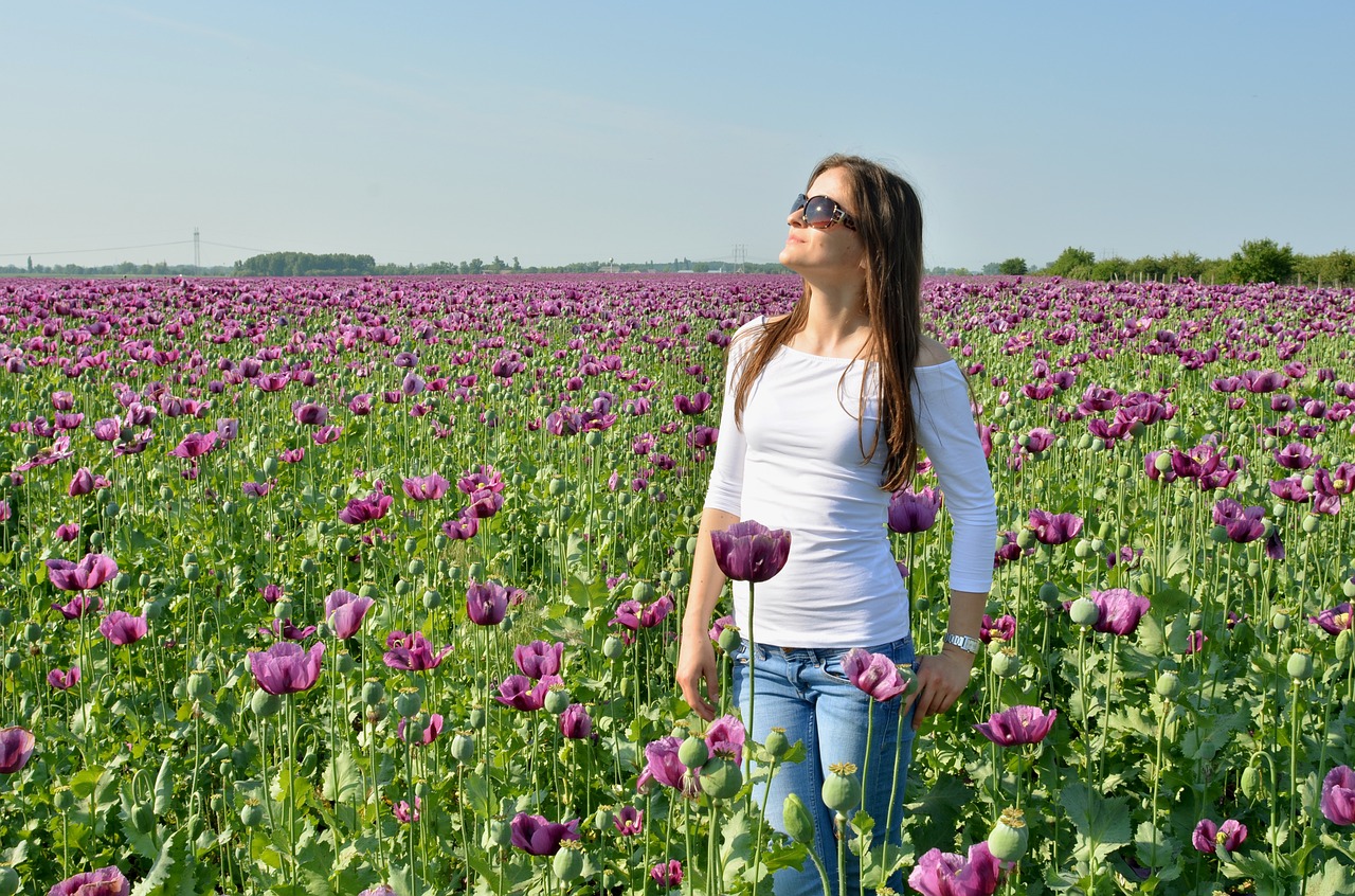 poppy field young woman free photo