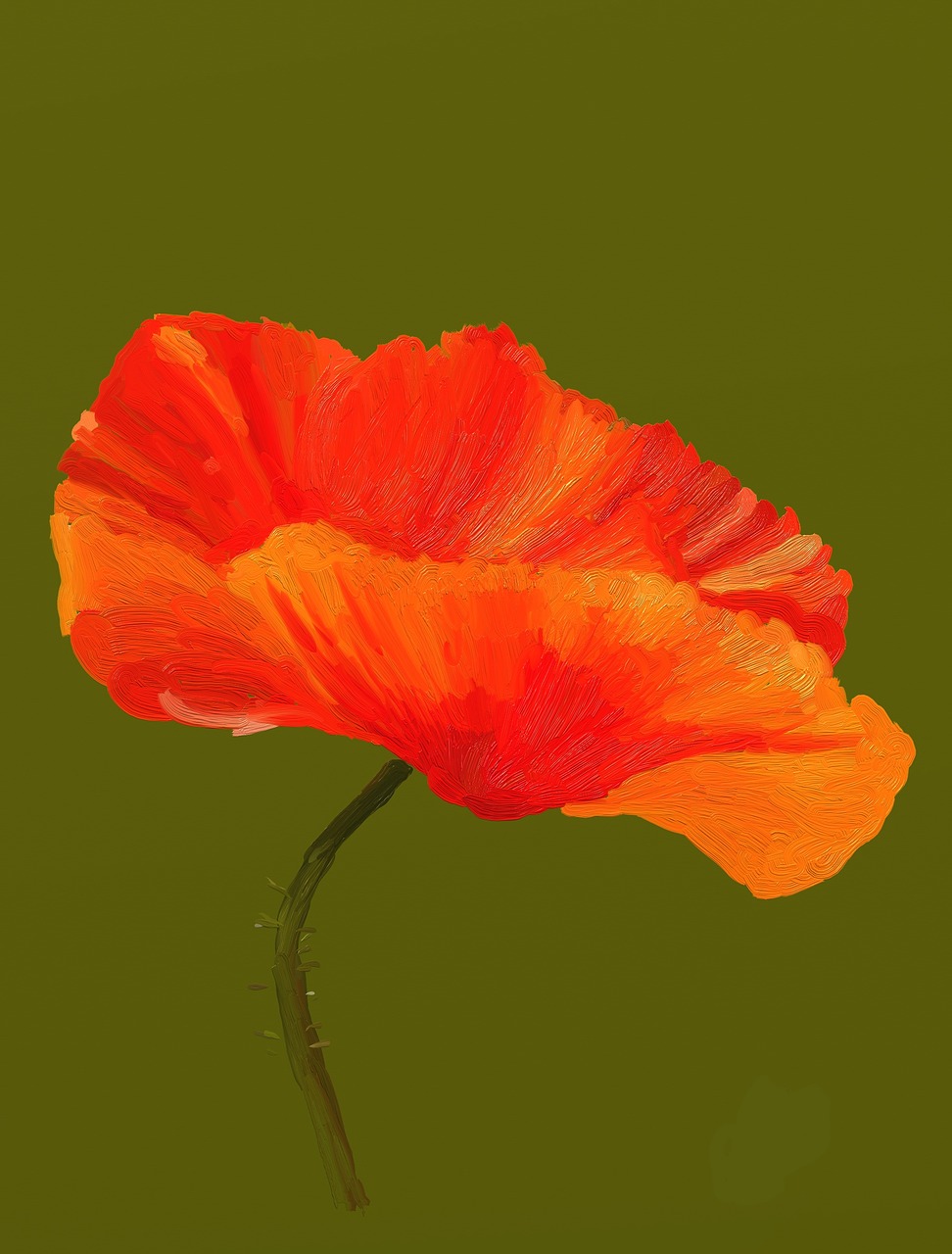 poppy flower virtual free photo