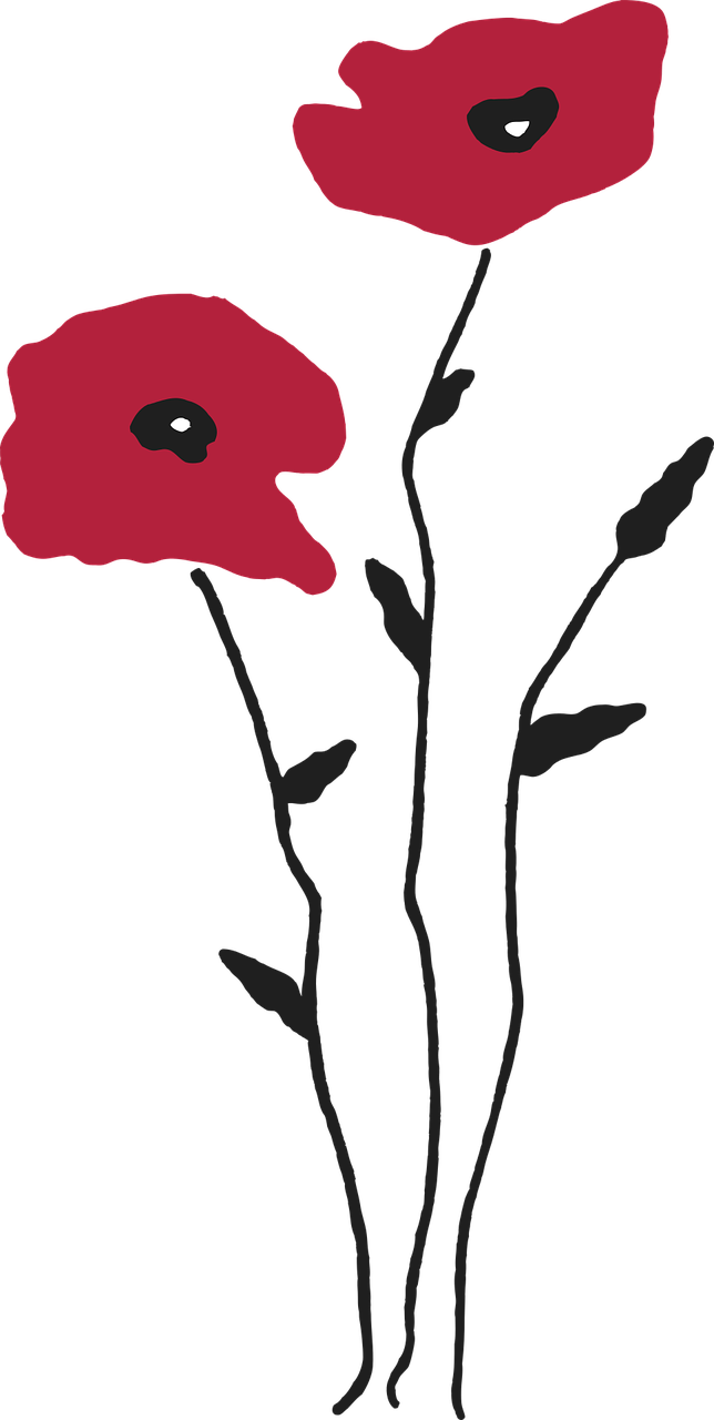 poppy fields free vector graphics free photo