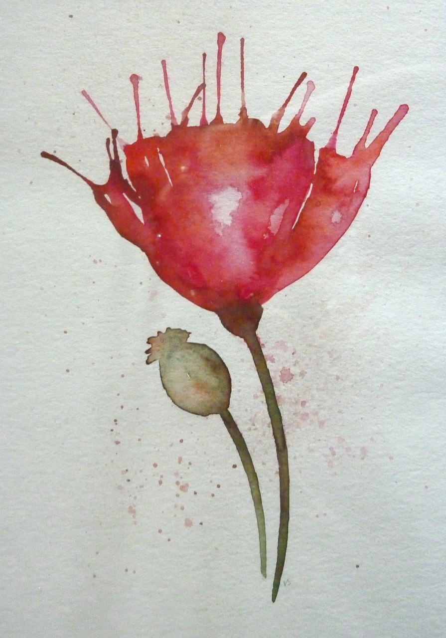 poppy  flower  watercolour free photo