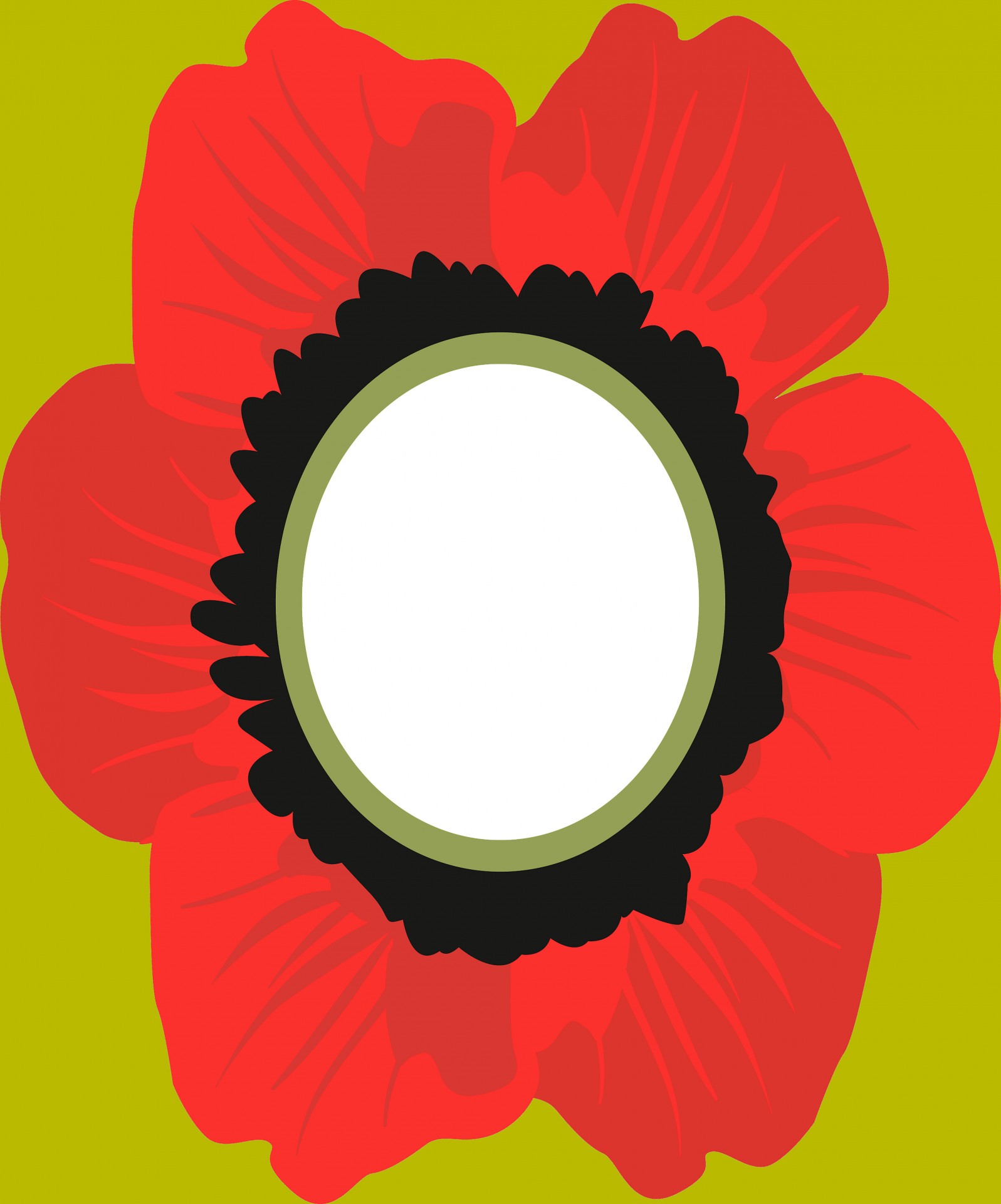 red poppy rectangle free photo