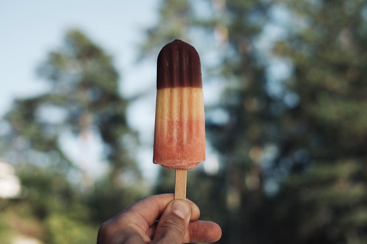 popsicle  summer  food free photo