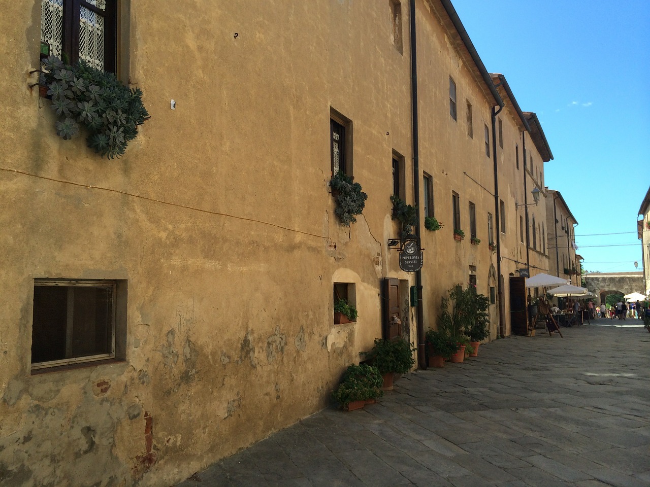 populonia italy tuscany free photo