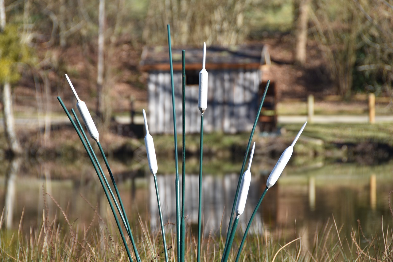 porcelain  reed  water free photo