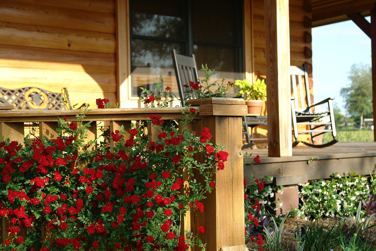 porch farm roses free photo