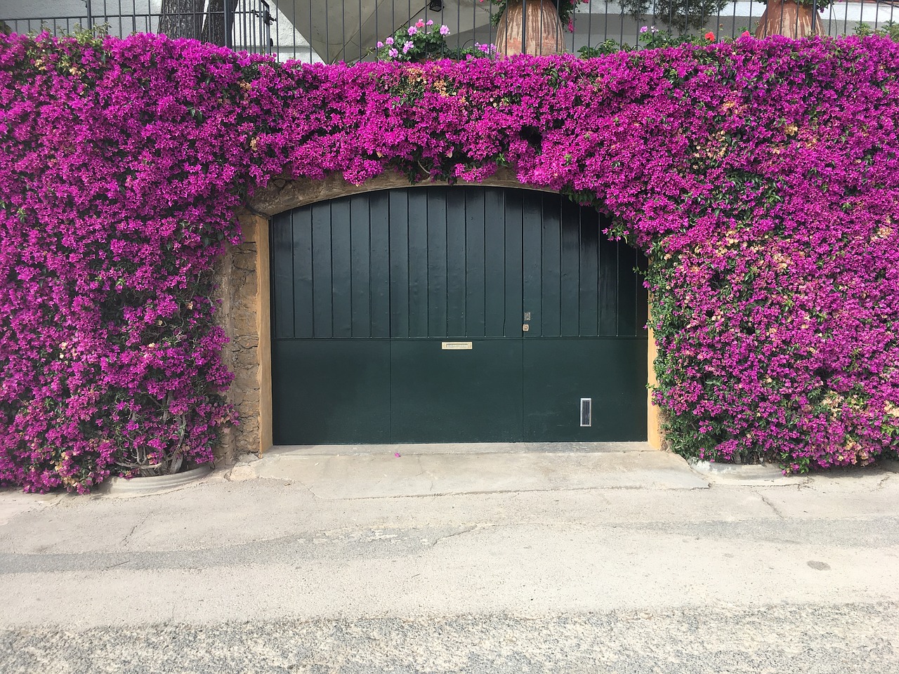 porches flowers gate free photo