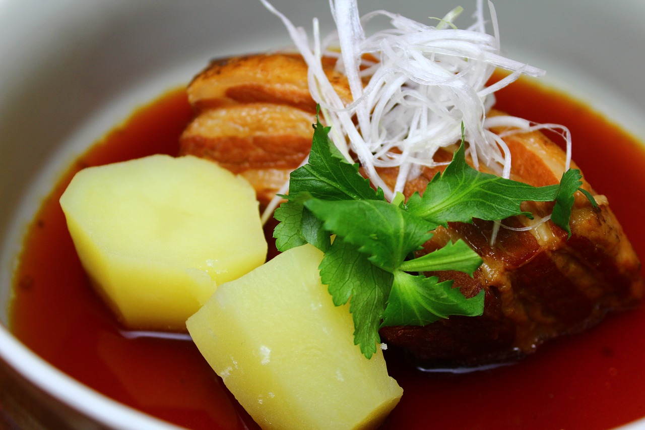 pork stew  cuisine  japanese food free photo