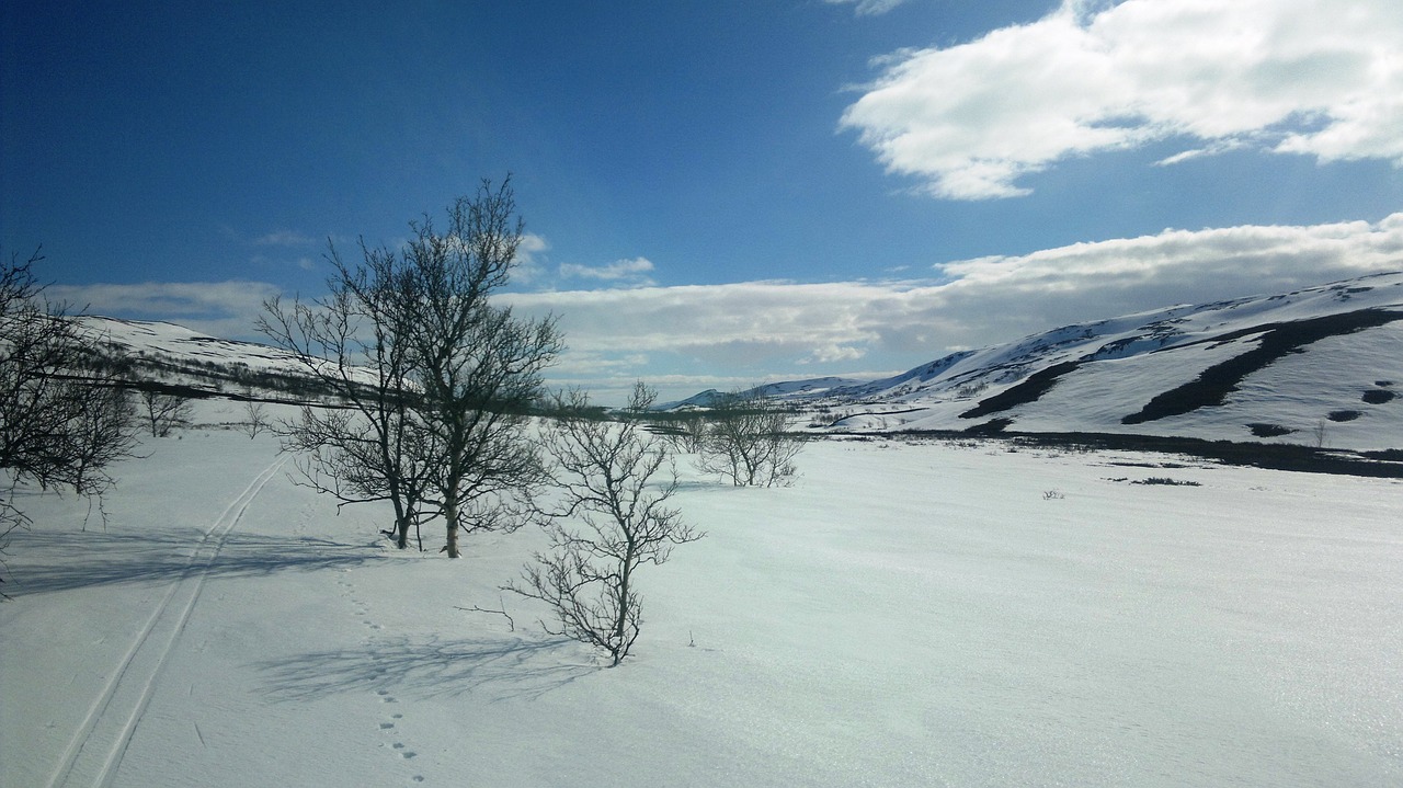 porsanger lakselv snow free photo