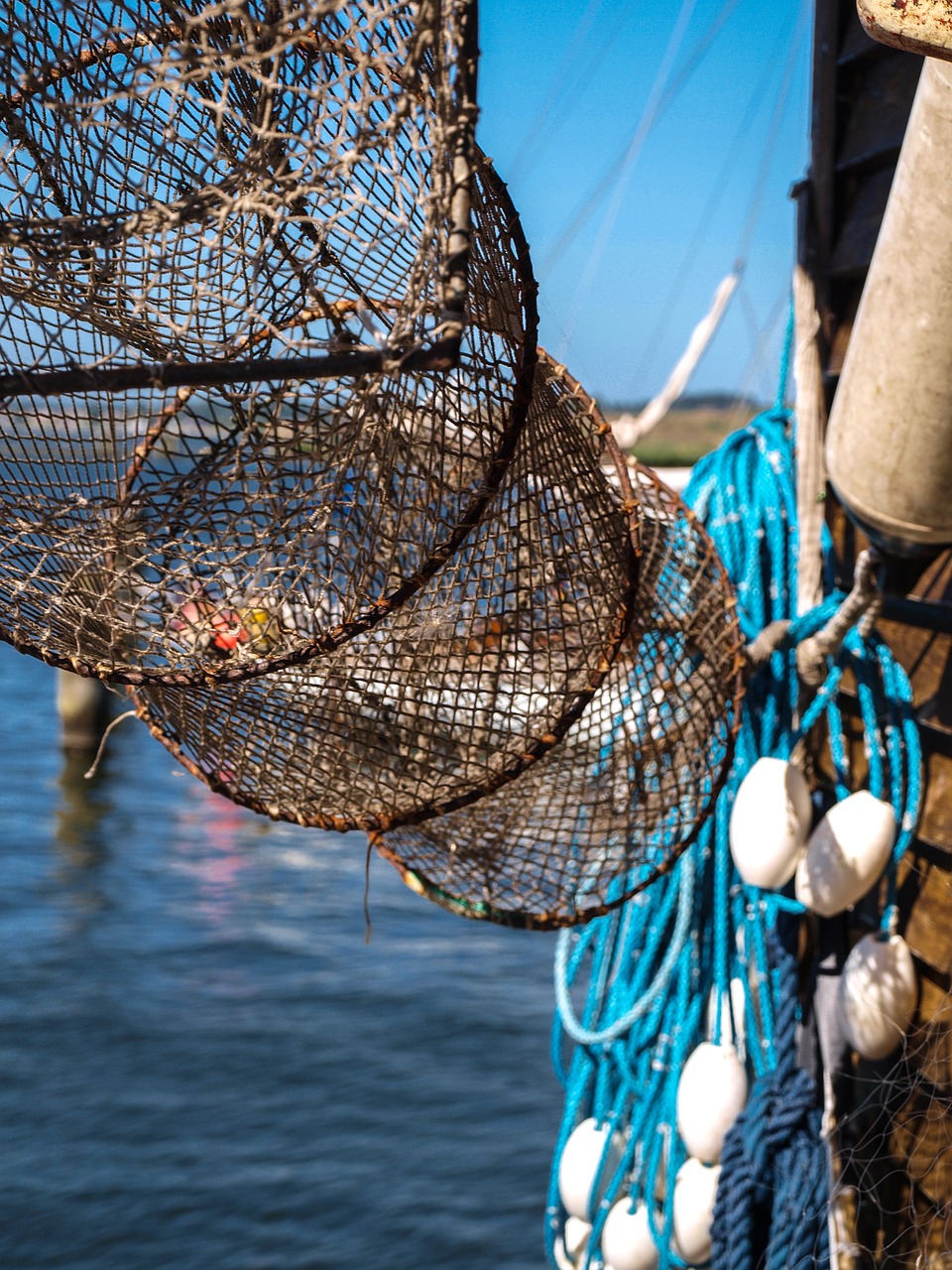 port fish trap fishing free photo