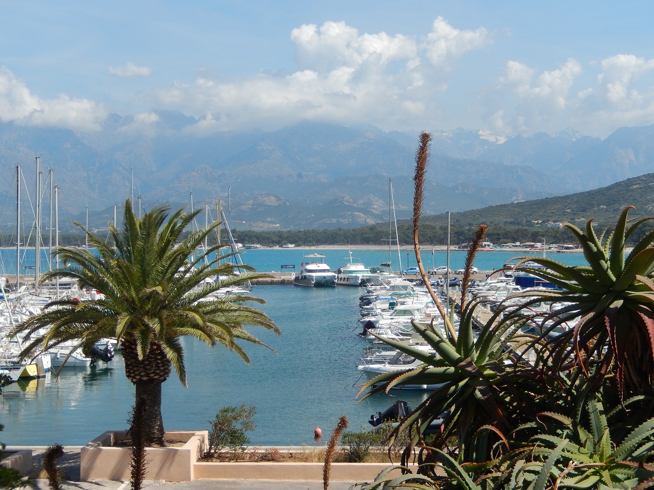 corsica mediterranean booked free photo