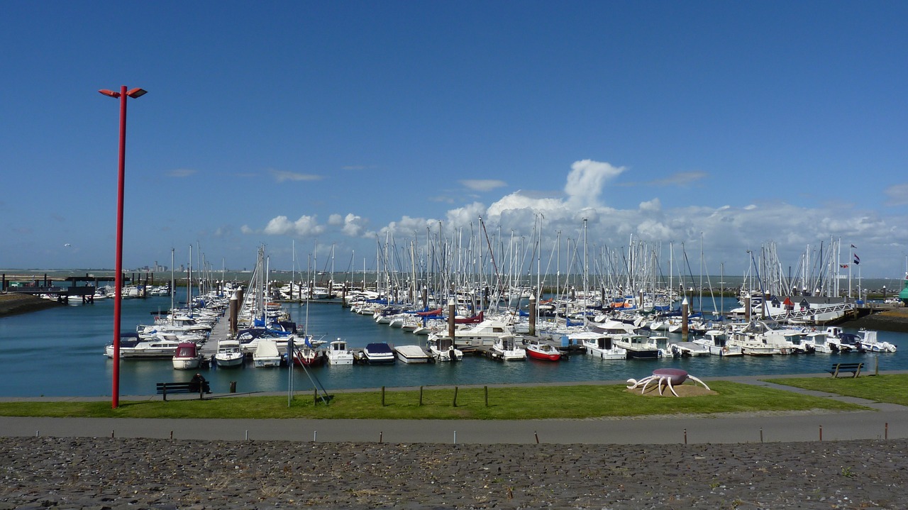 port marina boats free photo