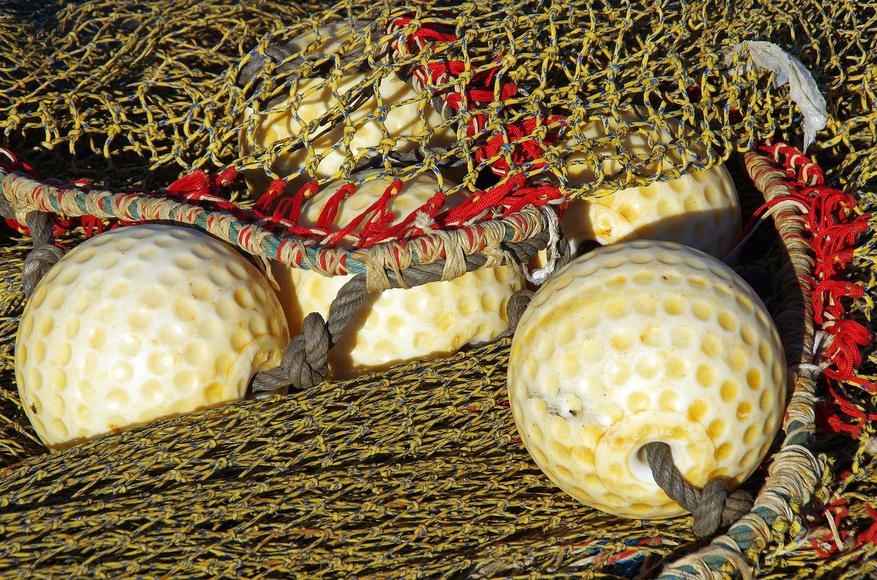 port netting bowls free photo