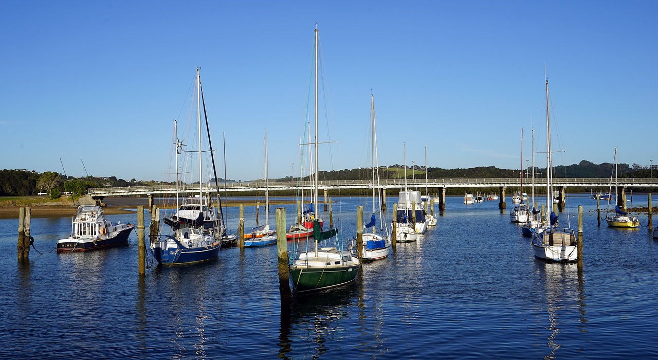 port sailing boats yacht free photo