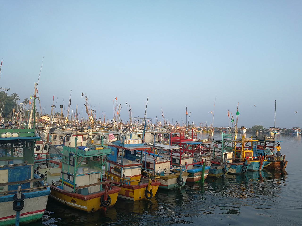 port sri lanka sea free photo