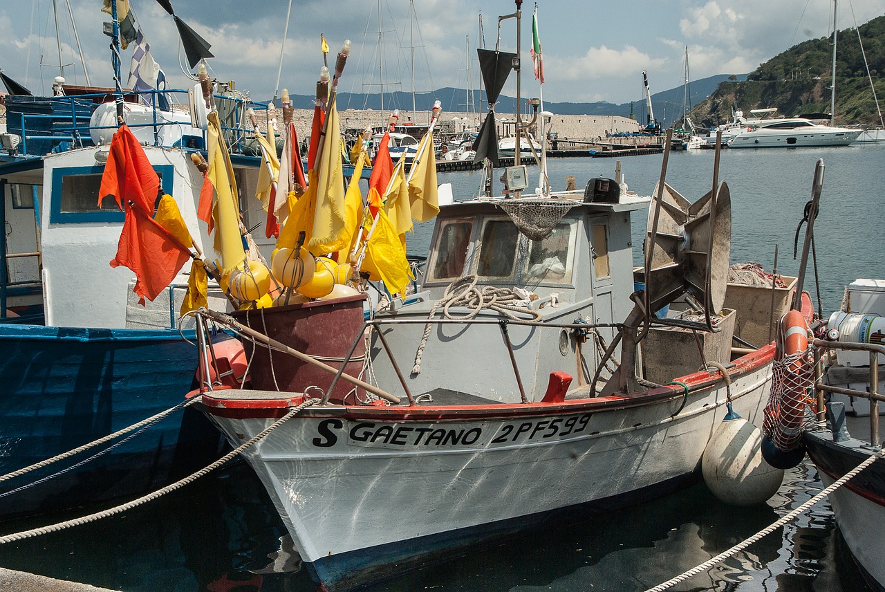 port fishing boats floats free photo