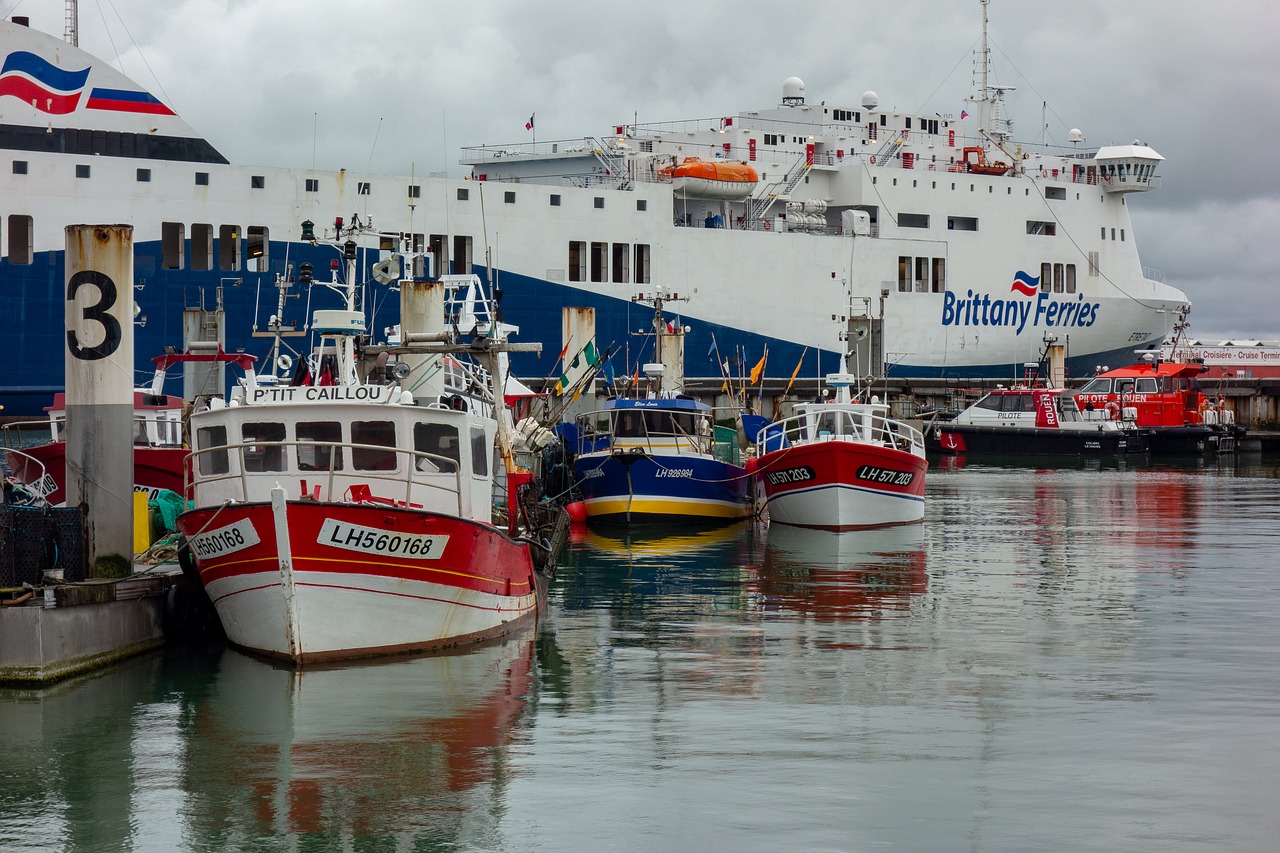 port  boat  harbour free photo