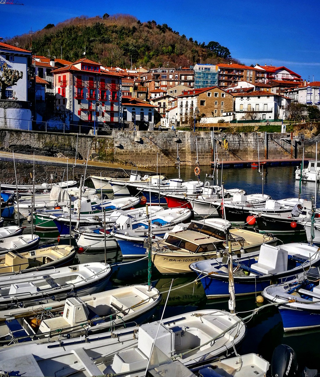 port  fishing  boat free photo