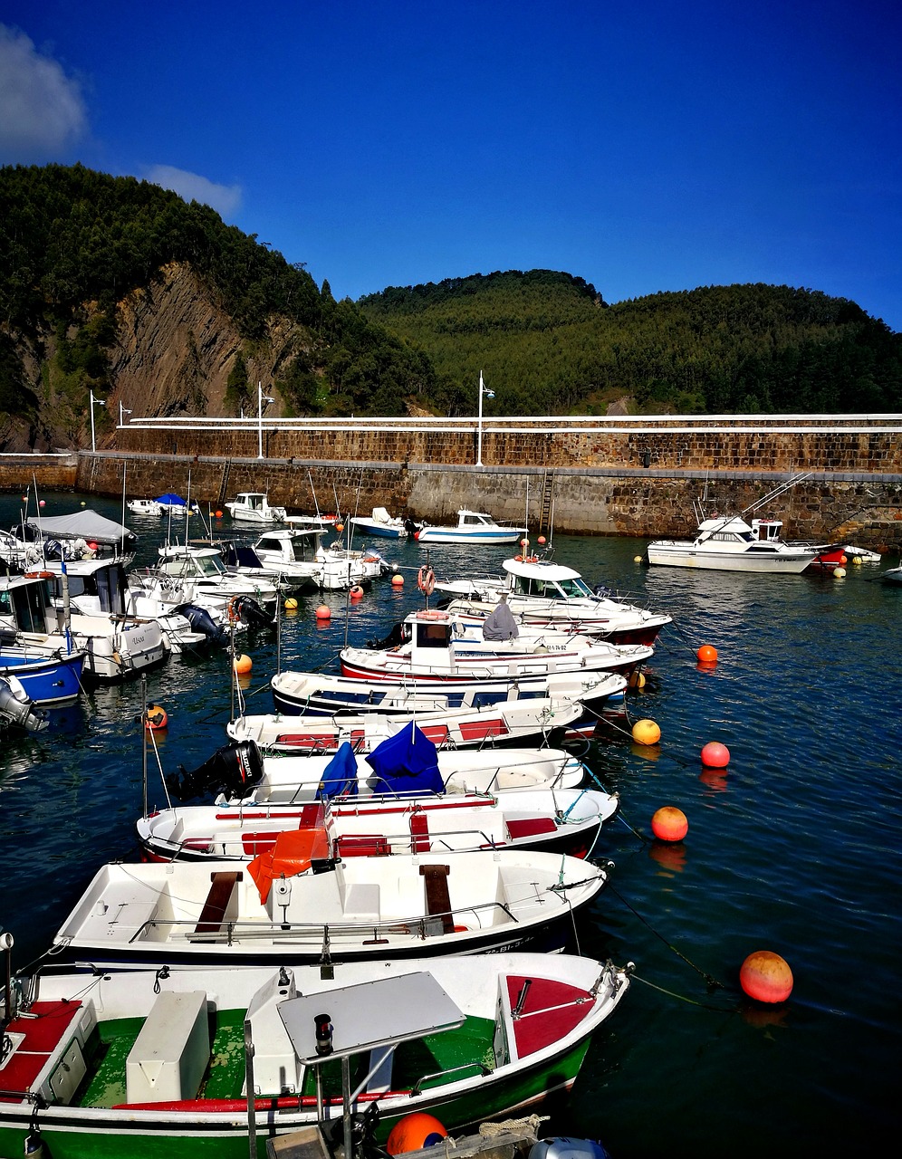 port  boats  holiday free photo