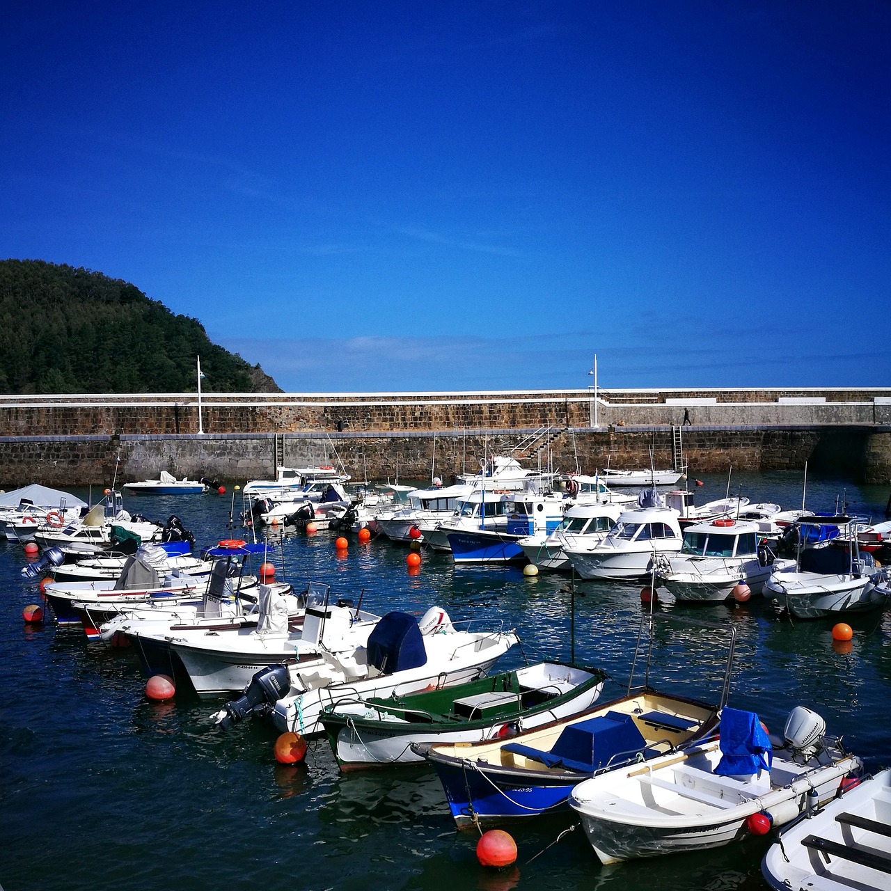 port  boat  spring free photo