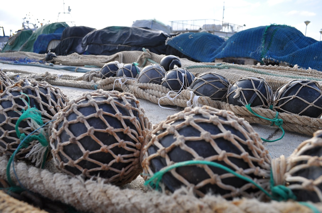 port fishing boats free photo