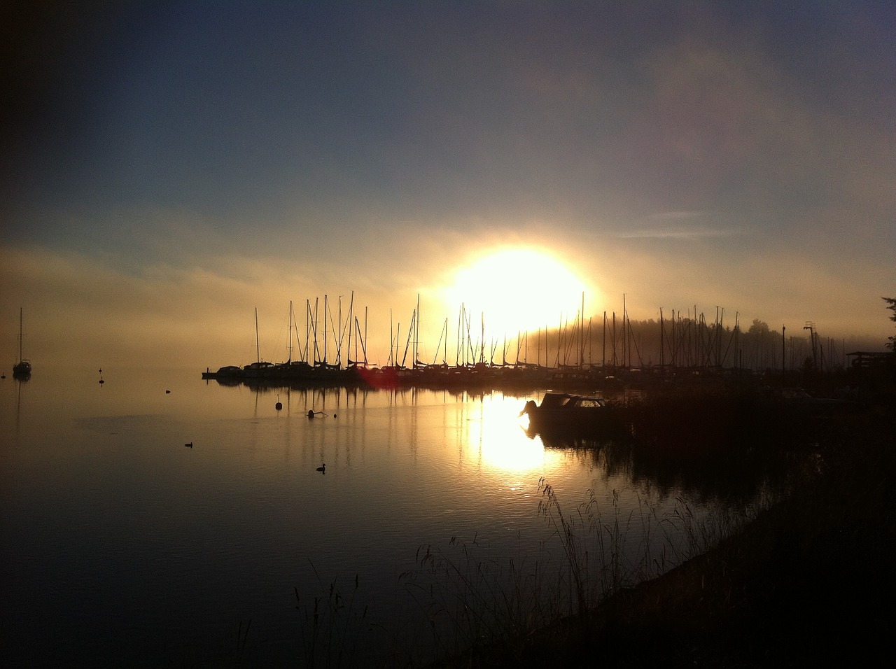 port sailboat twilight free photo