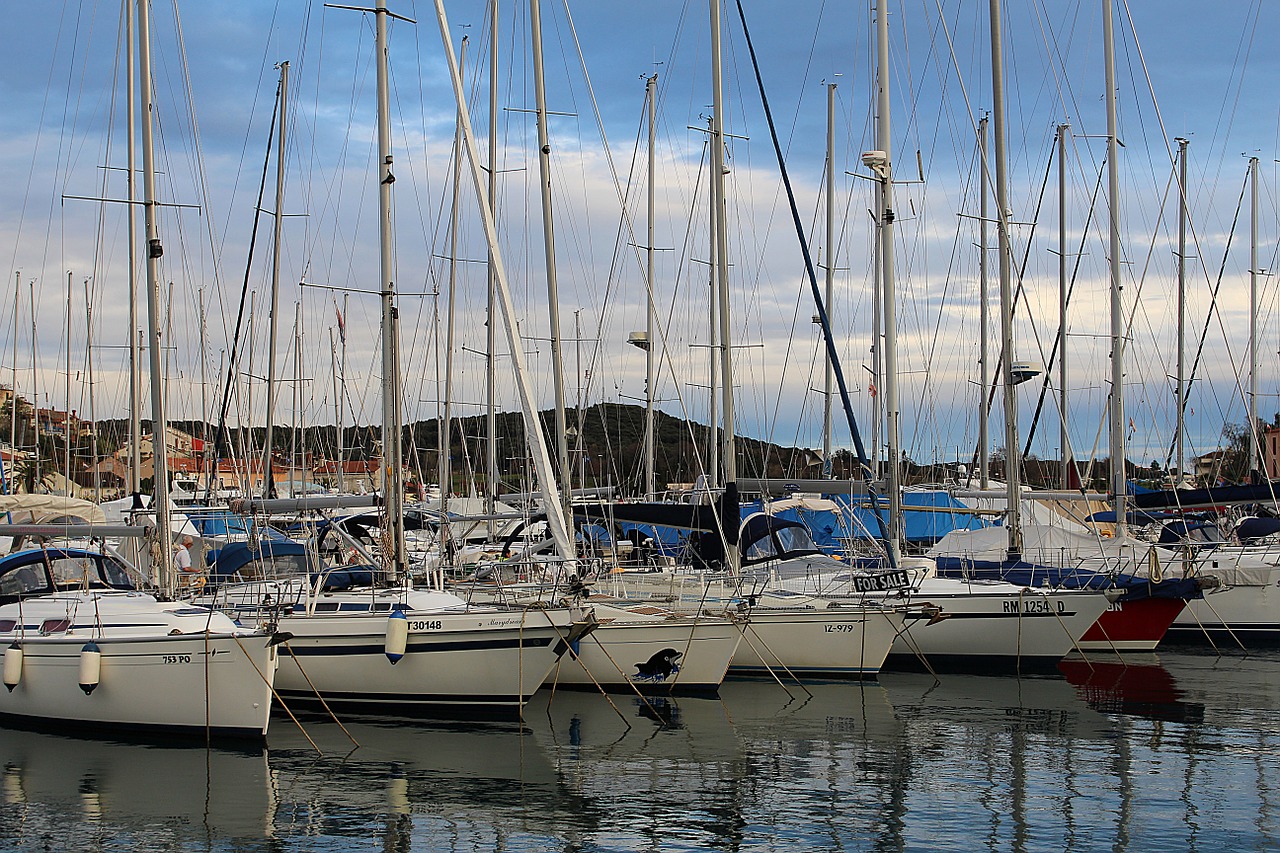 port sailing ships masts free photo