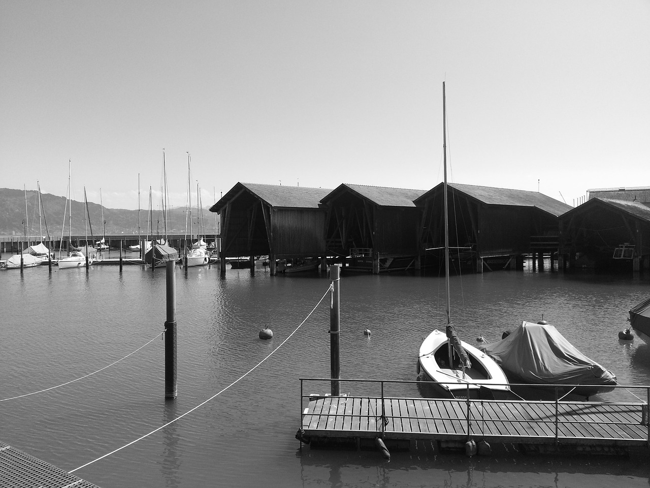 lindau port boats free photo