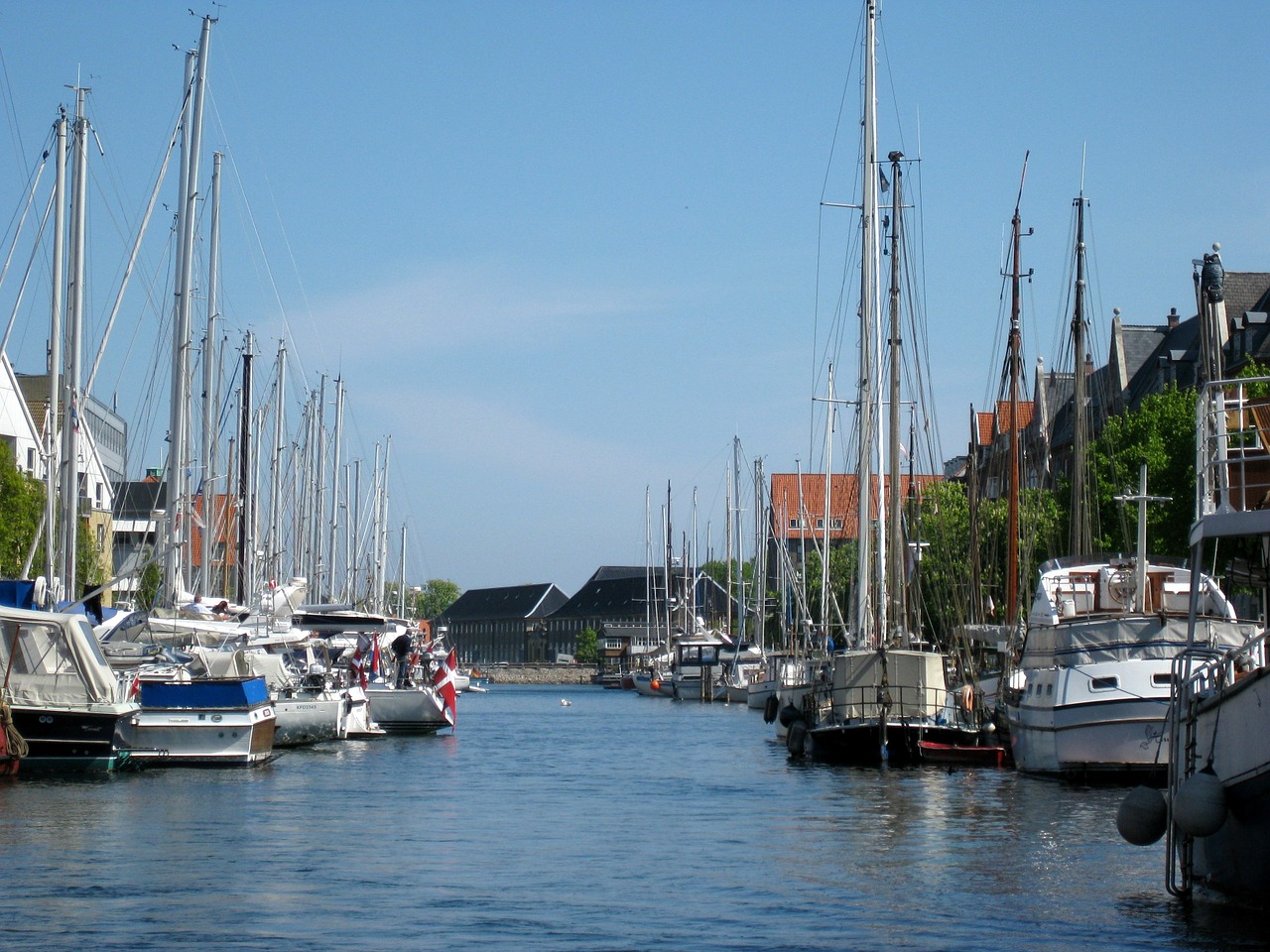 port copenhagen sailing ships free photo