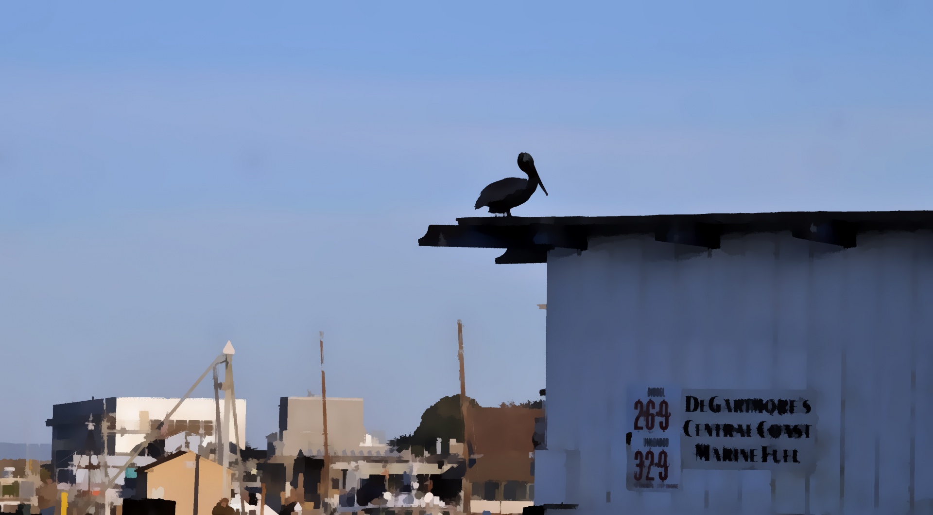port pelican bird free photo