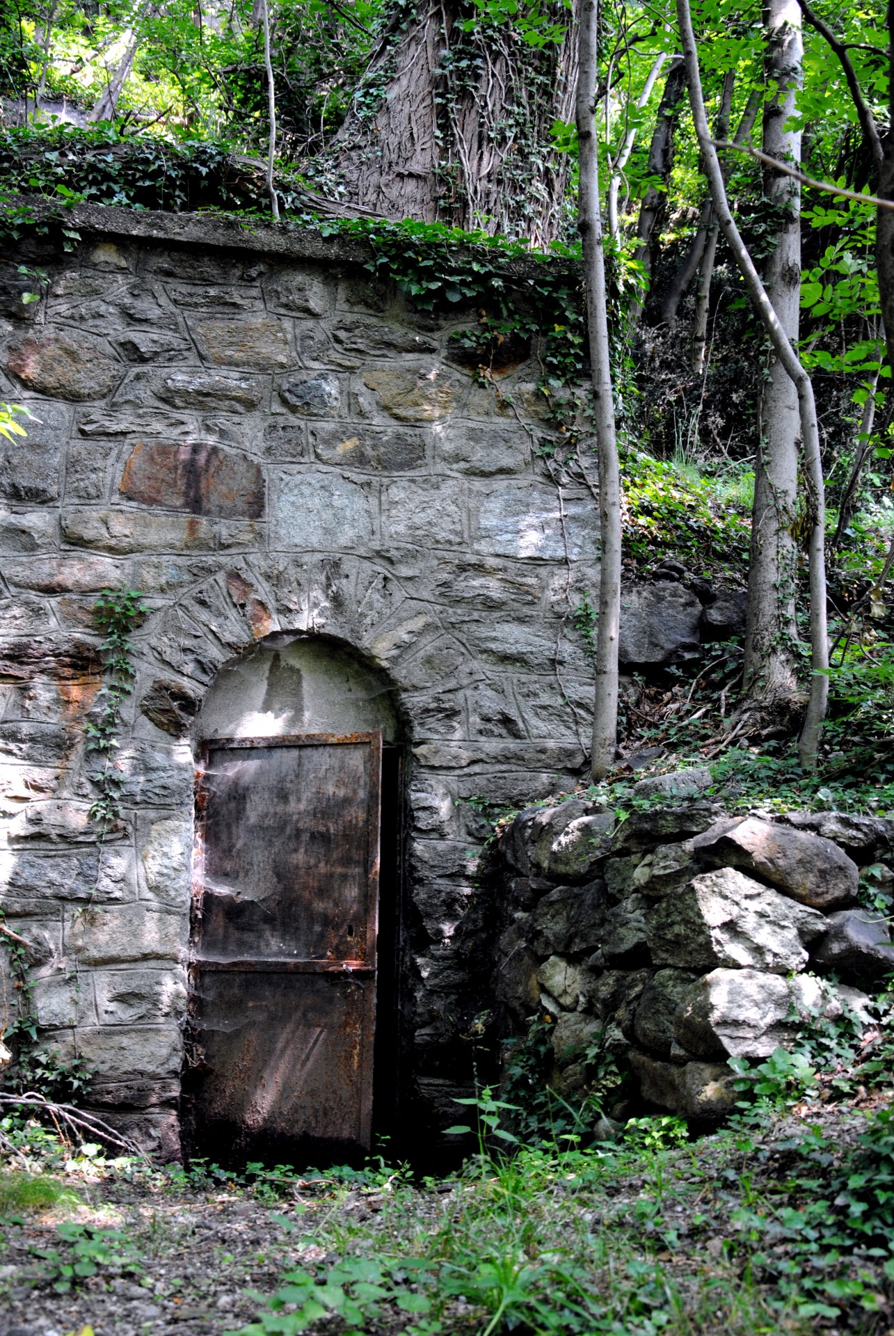 door forest darkness free photo