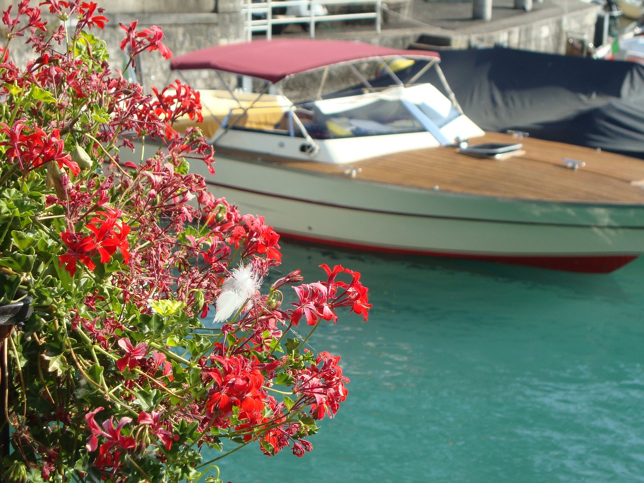 porto boat lake free photo