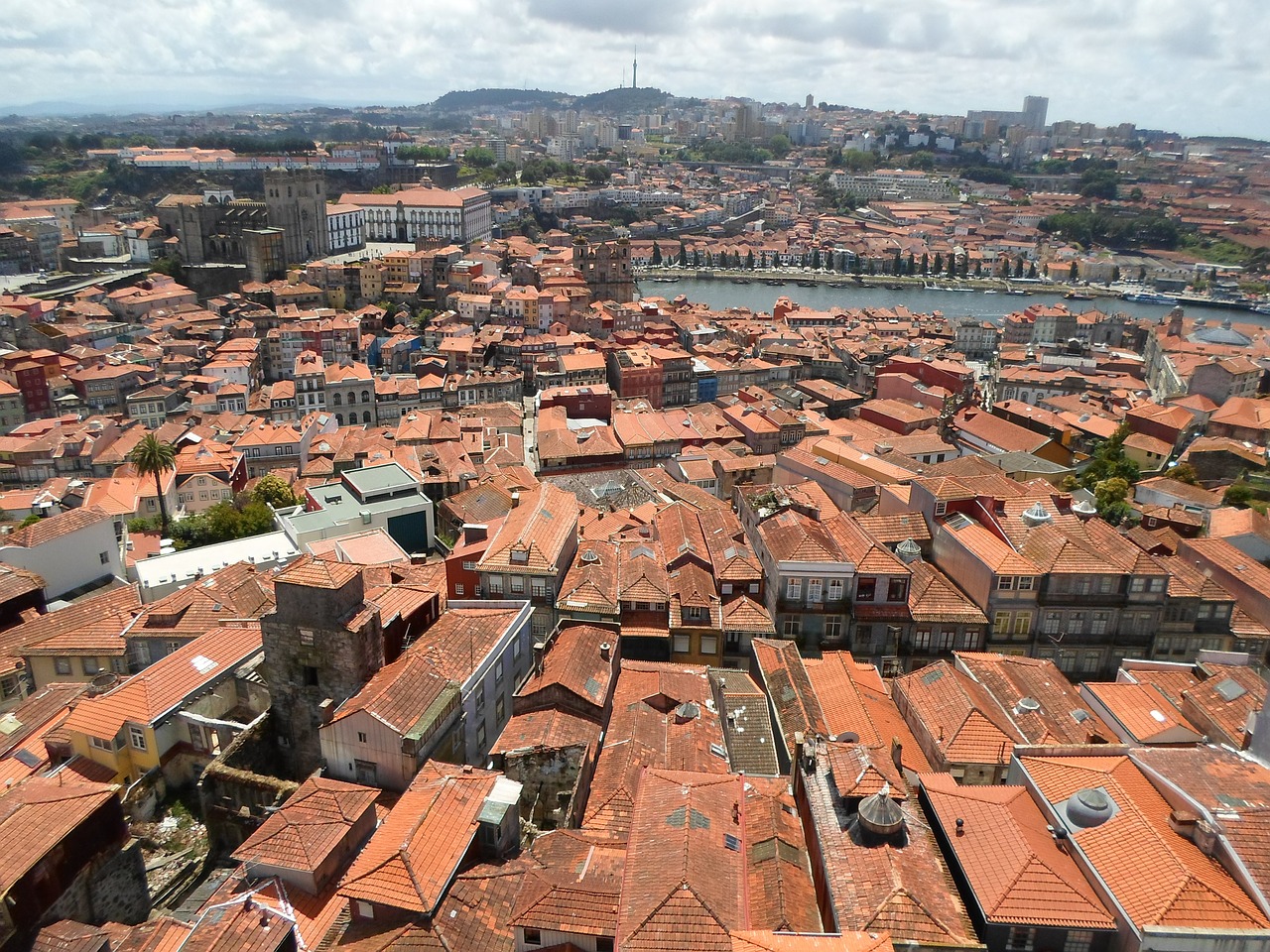 porto homes roofs free photo