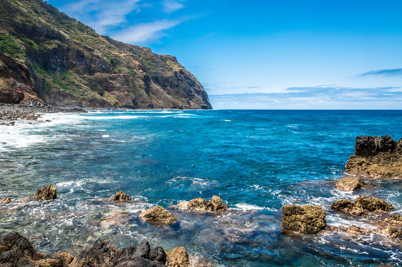 porto moniz  island wood  mar free photo