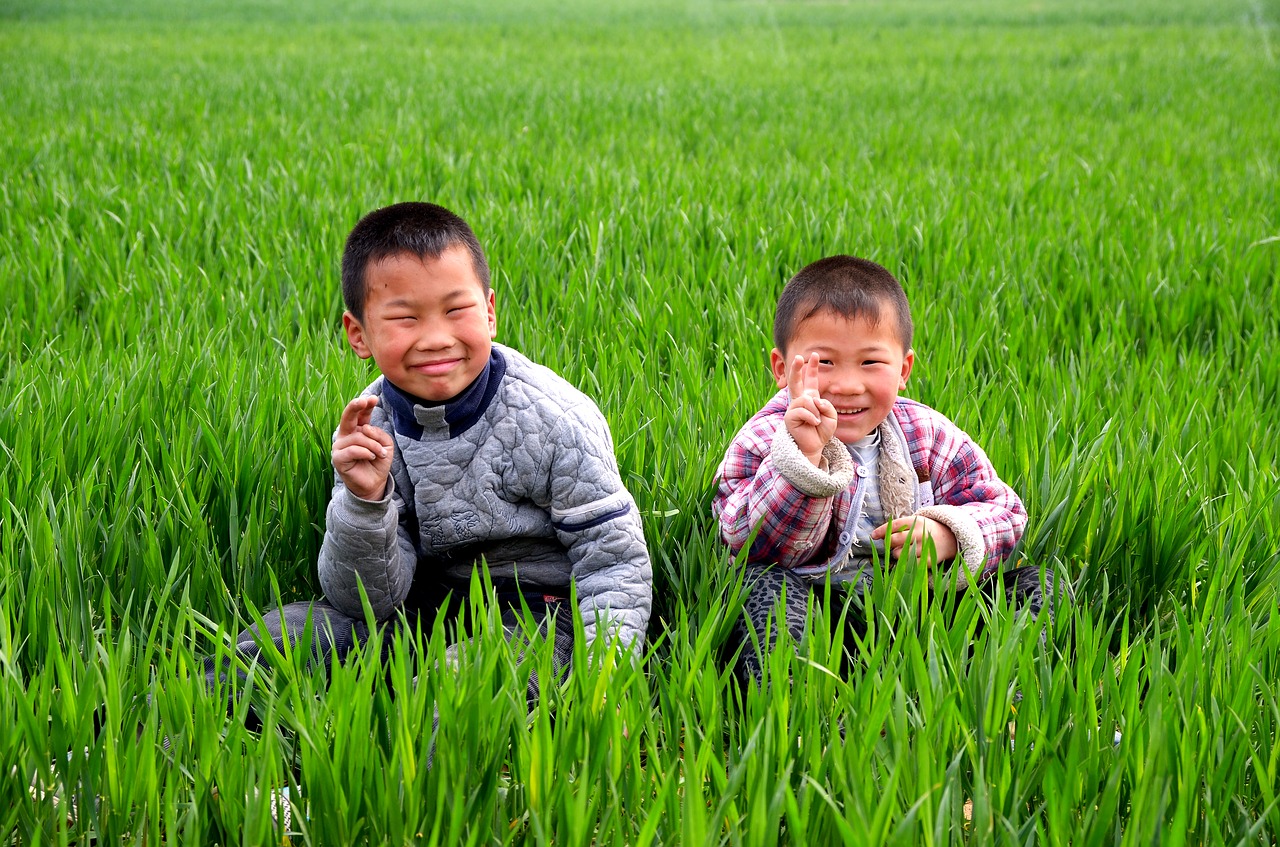 portrait child in wheat field free photo