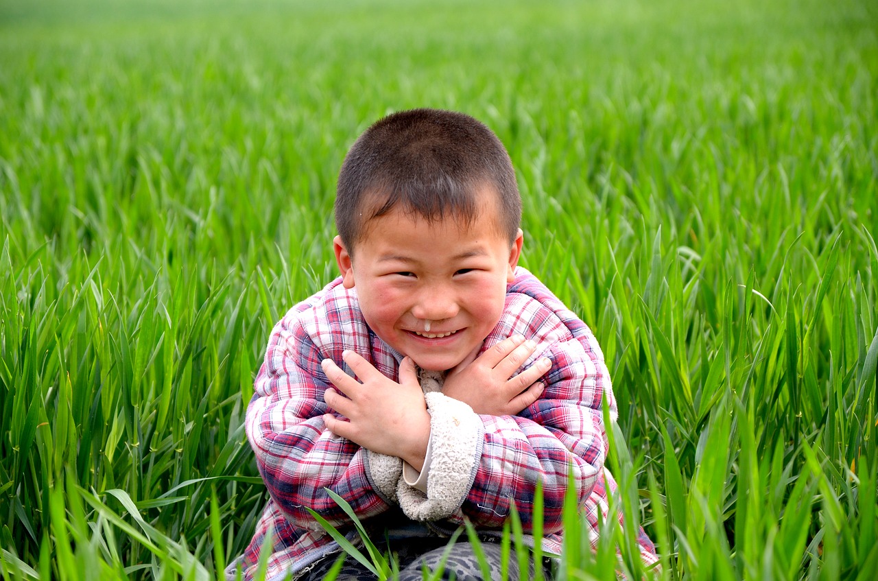 portrait child in wheat field free photo