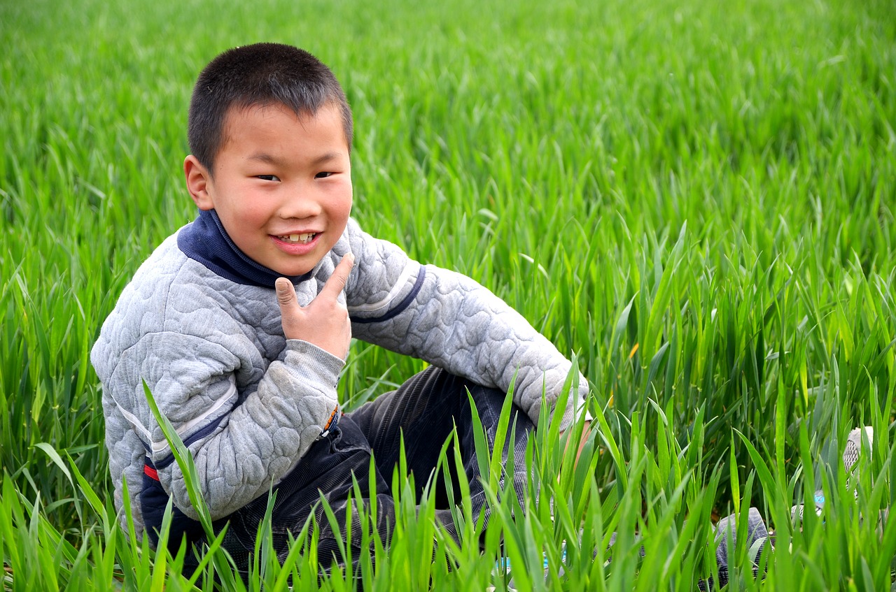 portrait child in wheat field free photo