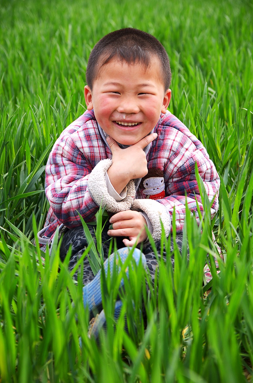 portrait child in wheat field free photo