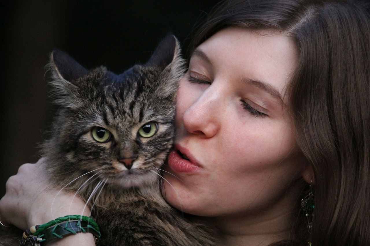 portrait cat young woman free photo