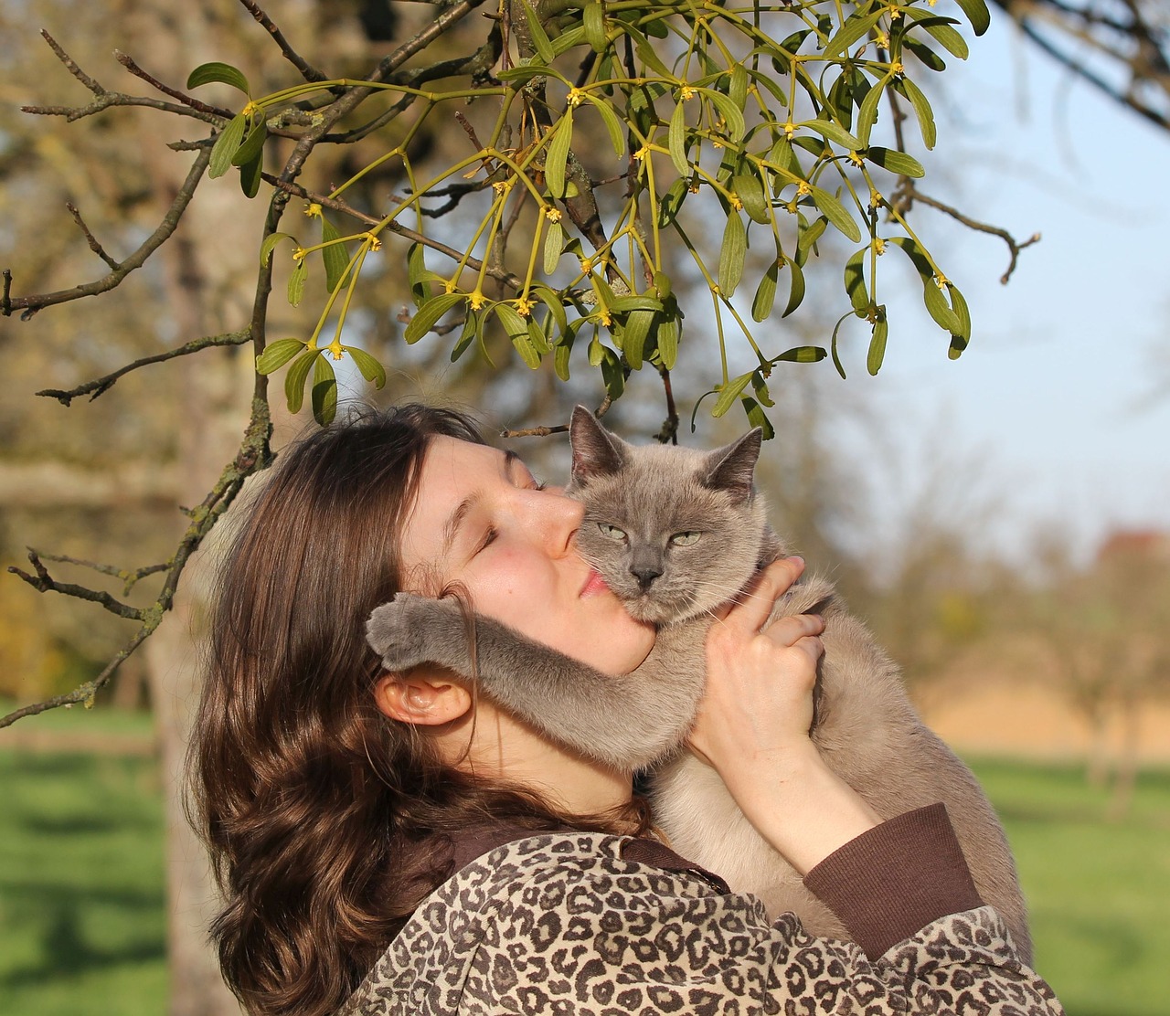 portrait  young woman  cat free photo