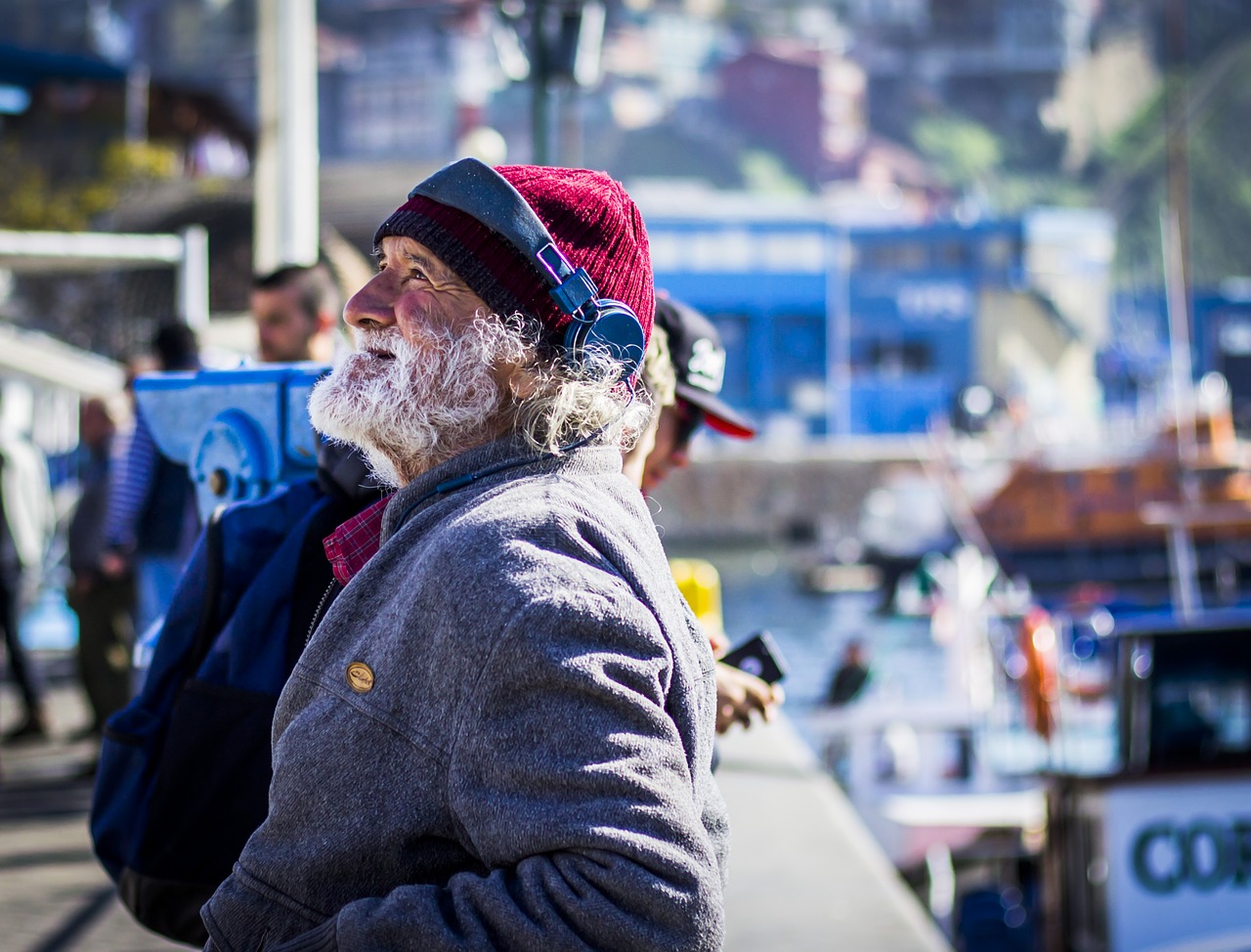 portrait  man  male free photo