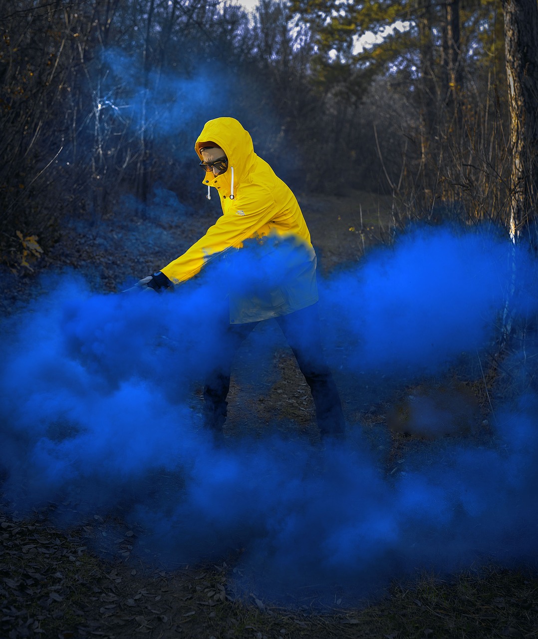 portrait  smoke  bomb free photo