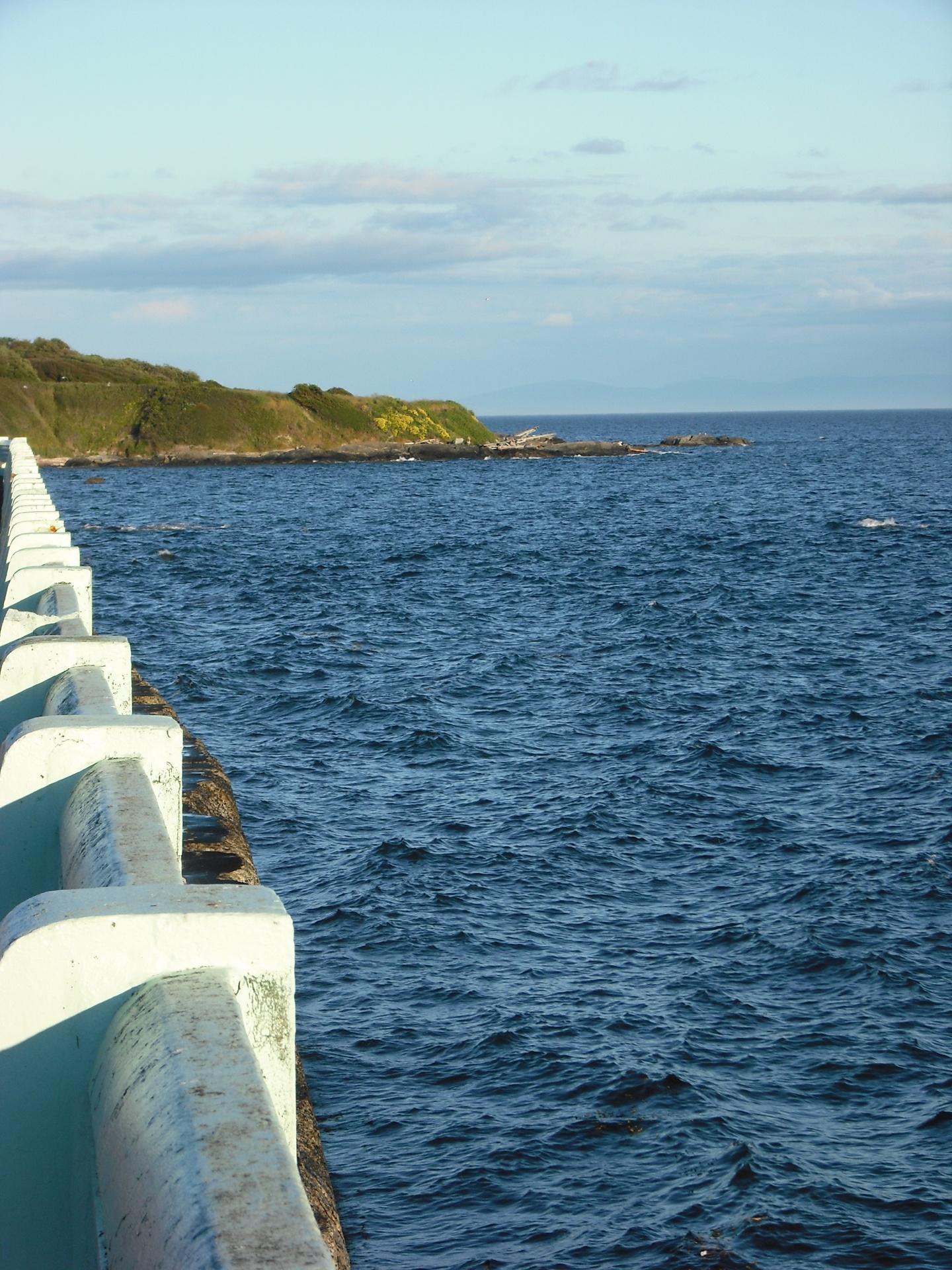 portrait ocean causeway free photo