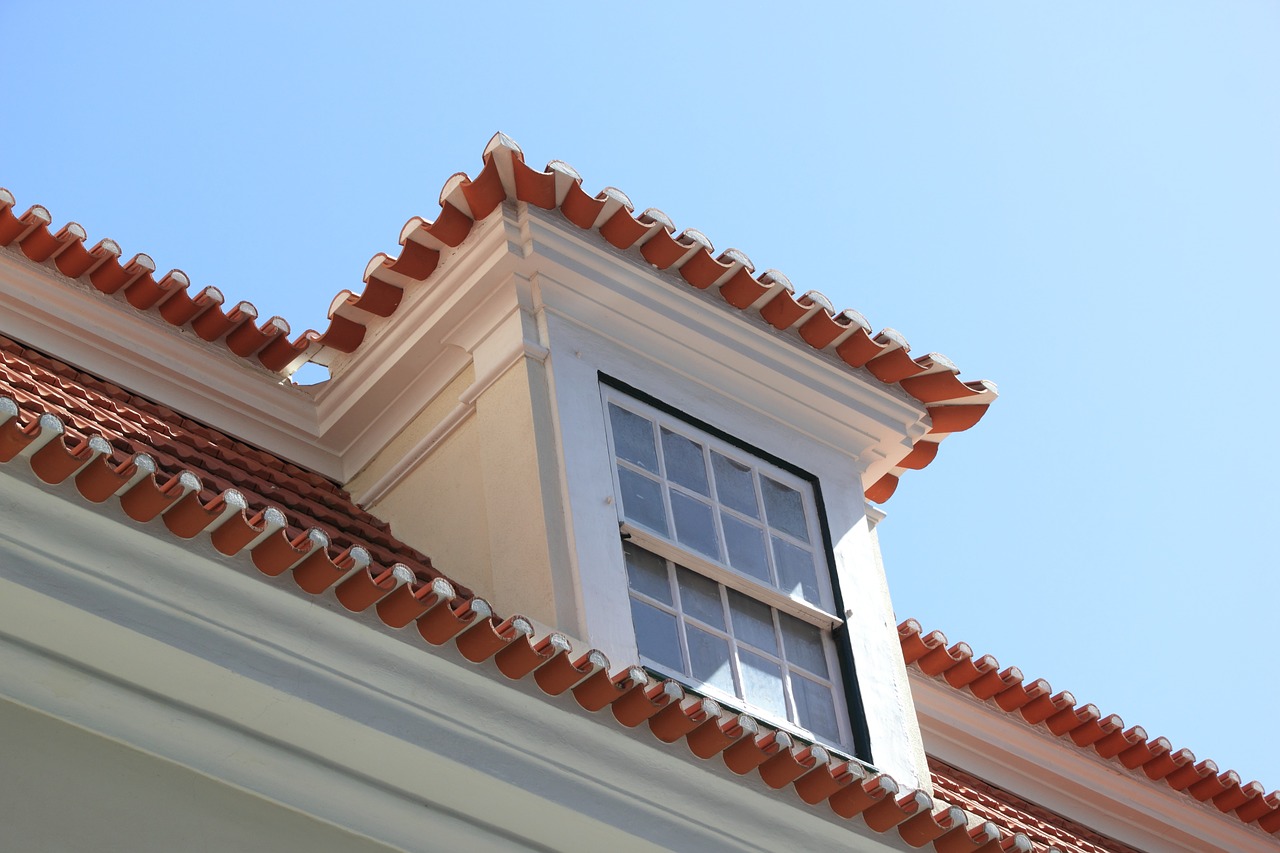 portugal lisbon roof free photo