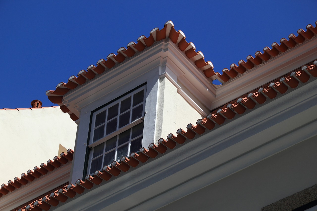 portugal lisbon roof free photo